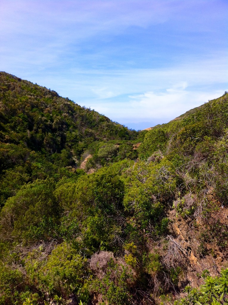 Hiking through the bushy hills